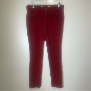 Pilcro & The Letterpress Serif Corduroy Skinny Pants size 30